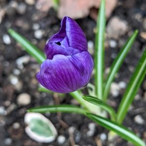 Selling Fallish Clothes Bundle